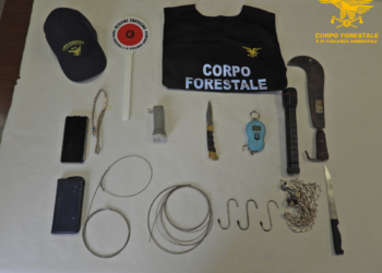 Il Nucleo Investigativo di Polizia Ambientale e Forestale (NIPAF) di Oristano ha deferito due persone sospettate di aver ucciso un piccolo di cinghiale con una roncola