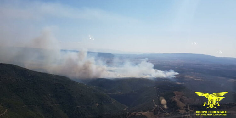 Sono stati 13 gli incendi segnalati ieri in Sardegna, 3 hanno richiesto l’intervento dei mezzi aerei