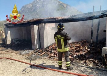 Galtellì: a fuoco una legnaia, sul posto i vigili del fuoco