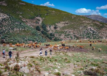 Ad Arzana, Lanusei e Villagrande Strisaili, cala il sipario sul festival IT.A.C. À