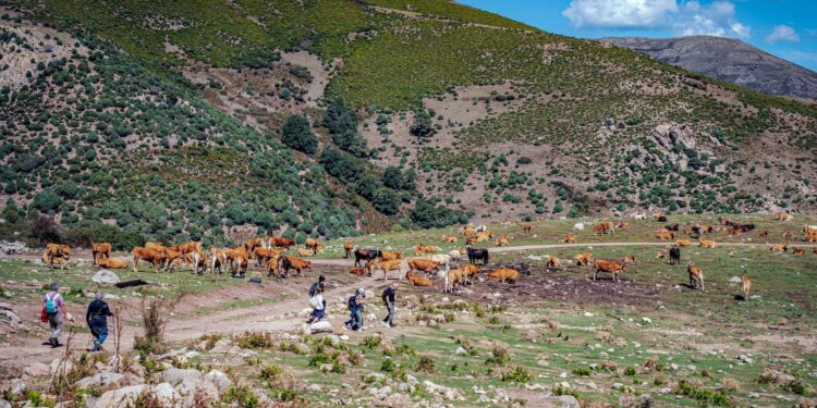 Ad Arzana, Lanusei e Villagrande Strisaili, cala il sipario sul festival IT.A.C. À