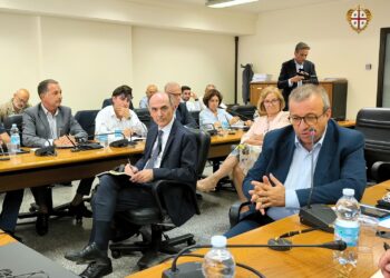 Rinnovabili: audizioni degli assessori dell’Industria, dell’Ambiente e dell’Urbanistica, sulla attuazione della legge “moratoria”