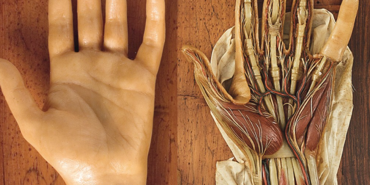 Giornate Europee del Patrimonio 2024: l’Università di Cagliari aderisce con l’apertura straordinaria di tre Musei