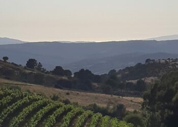 Meana Sardo: innovazione e valorizzazione delle antiche tradizioni, ecco l’azienda della famiglia Fulghesu