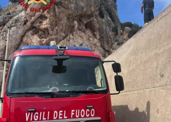 Santa Maria Navarrese: una capra rimane bloccata su una cengia, salvata dai vigili del fuoco