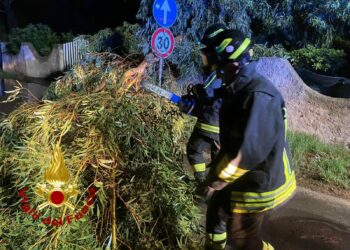 Maltempo nel Nord Sardegna: oltre 60 gli interventi dei vigili del fuoco