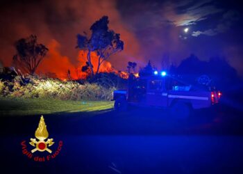 Incendio nei pressi del campeggio Girasole