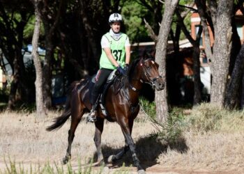 Sardegna Endurance Festival. Dopo il bronzo agli Europei, arriva il bis ai Mondiali per l’Italia. Agli Emirati il podio individuale