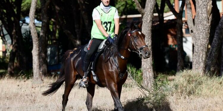 Sardegna Endurance Festival. Dopo il bronzo agli Europei, arriva il bis ai Mondiali per l’Italia. Agli Emirati il podio individuale