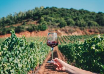 Lanusei, Villagrande Strisaili e Arzana: ecco la tappa ogliastrina del festival IT.A.CÀ