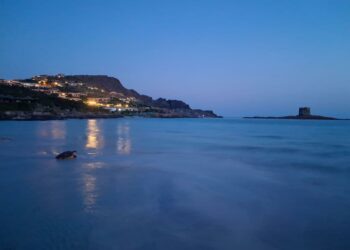 Stintino: una tartaruga Caretta caretta depone le uova a La Pelosa