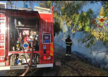 Cagliari: incendio di vegetazione, i vigili del fuoco evitano la propagazione delle fiamme alle strutture vicine