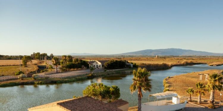A Cabras è tutto pronto per il festival della Bottarga 2024