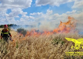 Solo 1 dei 14 incendi sviluppatisi oggi in Sardegna, ha richiesto l’intervento dei mezzi aerei della flotta regionale