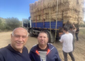 Il Centro Studi Agricoli ha consegnato stamane il primo carico di foraggio, a Posada, per aiuti agli allevatori travolti dalla siccità