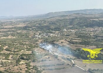 Sono stati 8 gli incendi sviluppatisi oggi sul territorio regionale, 2 dei quali ha richiesto l’intervento dei mezzi aerei