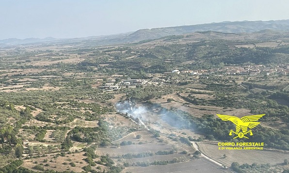 Sono stati 8 gli incendi sviluppatisi oggi sul territorio regionale, 2 dei quali ha richiesto l’intervento dei mezzi aerei