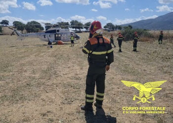 Oggi, sono stati 8 gli incendi verificatisi sul territorio regionale, 2 dei quali hanno richiesto l’intervento dei mezzi aerei