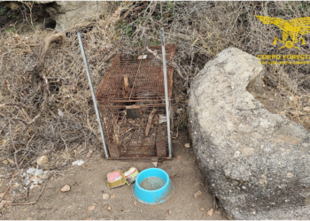 Tortolì: scoperta una trappola per selvaggina carnivora