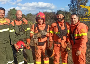 Oggi in Sardegna sono stati segnalati 7 incendi, 2 dei quali hanno richiesto l’intervento dei mezzi aerei della flotta regionale