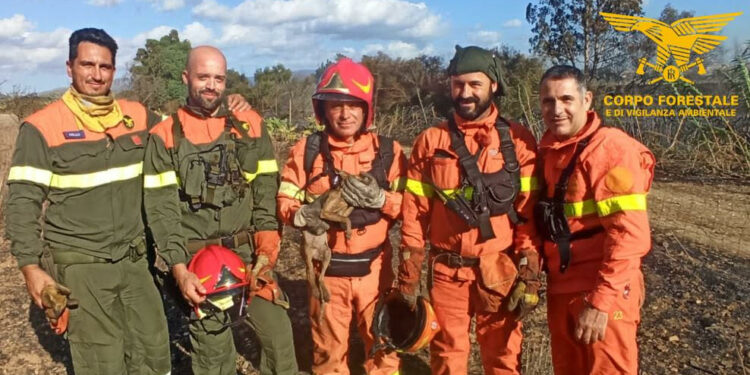 Oggi in Sardegna sono stati segnalati 7 incendi, 2 dei quali hanno richiesto l’intervento dei mezzi aerei della flotta regionale