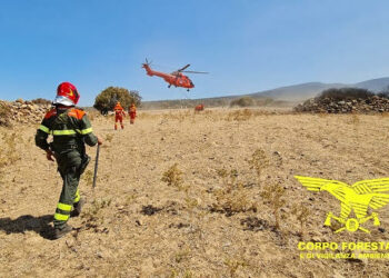 Sono 15 gli incendi sviluppatisi oggi sul territorio regionale, 1 dei quali ha richiesto l’intervento dei mezzi aerei della flotta regionale