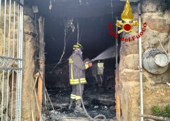 Orroli: a fuoco un’azienda, morti alcuni animali