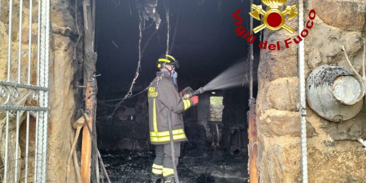 Orroli: a fuoco un’azienda, morti alcuni animali