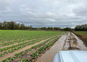 Maltempo nell’Oristanese e nel Sud Sardegna, in allerta anche Coldiretti