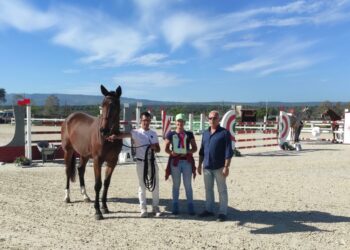 A Ozieri un convegno su “Allevare il futuro-Tecniche di riproduzione assistita nel cavallo”