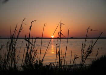Il progetto Vivi Sano, Vivi La Natura 2024 entra nel vivo con le date di venerdì 25, sabato 26 e martedì 29 ottobre