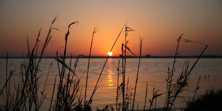 Il progetto Vivi Sano, Vivi La Natura 2024 entra nel vivo con le date di venerdì 25, sabato 26 e martedì 29 ottobre