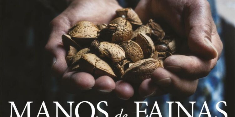 Ittiri si prepara per “S’Affidu”