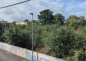 A Noragugume un “Parco delle tradizioni popolari”