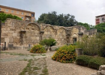 Cagliari: a San Saturnino un laboratorio sulle piante aromatiche