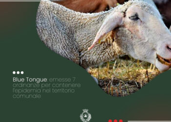 Stintino: firmate sette ordinanze contro la blue tongue