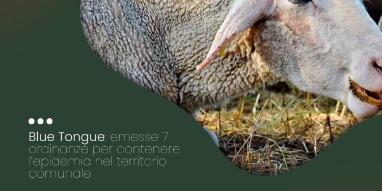 Stintino: firmate sette ordinanze contro la blue tongue