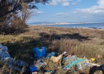 Giornata di pulizia della spiaggia di Giorgino, sabato 19 ottobre, dalle 9.00