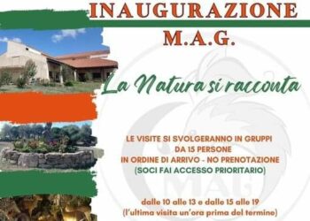 Fine settimana in Marmilla: appuntamenti a Baradili, Usellus e Curcuris