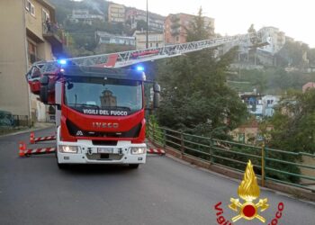 Lanusei: intervento dei vigili del fuoco per un albero pericolante in viale Don Bosco