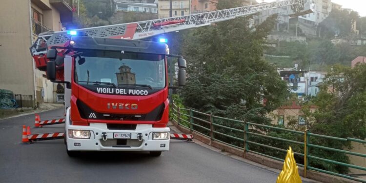 Lanusei: intervento dei vigili del fuoco per un albero pericolante in viale Don Bosco