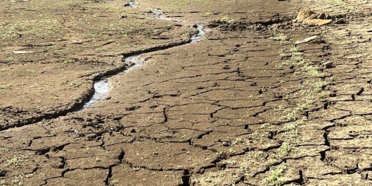 Gianfranco Satta (assessore regionale dell’Agricoltura): «Sulla siccità, le nostre richieste sono state sottovalutate dal Governo nazionale»