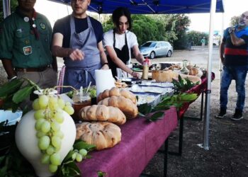 A Porto Torres la conferenza “Non era solo Garum”
