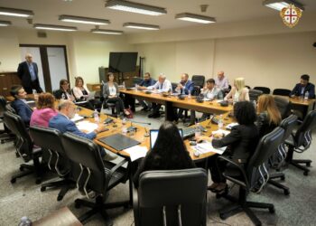 In Sesta Commissione le audizioni sulla situazione della Sanità in Gallura