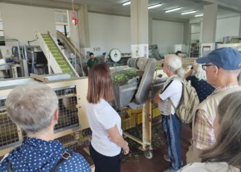 A Dolianova è tempo di “Atobius”