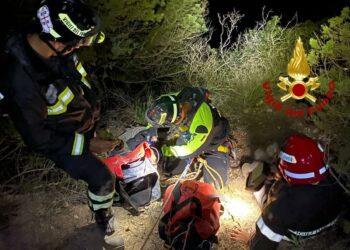 Alghero: cade in un dirupo, salvato un cane