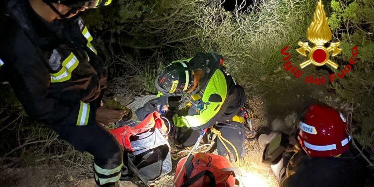 Alghero: cade in un dirupo, salvato un cane