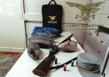 Arborea: operazione anti-bracconaggio nell’oasi di protezione faunistica “Corru s’Ittiri”