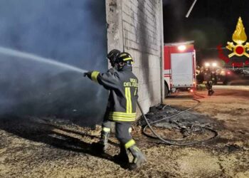 Arborea: a fuoco un fienile, morti una ventina di vitelli