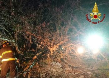 Vento forte in Gallura: interventi dei vigili del fuoco a Caprera, La Maddalena e Santa Teresa Gallura